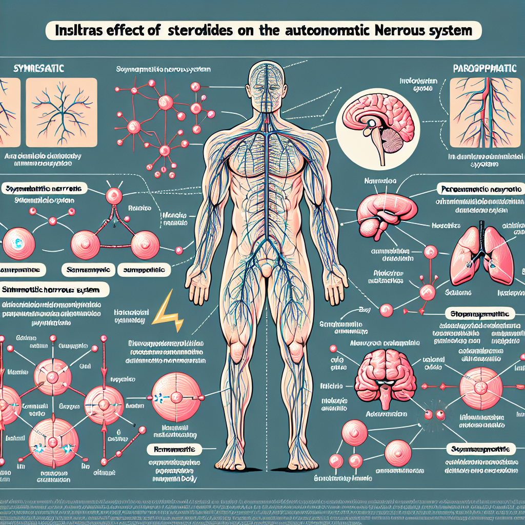 L'effet des stéroïdes sur le système nerveux autonome