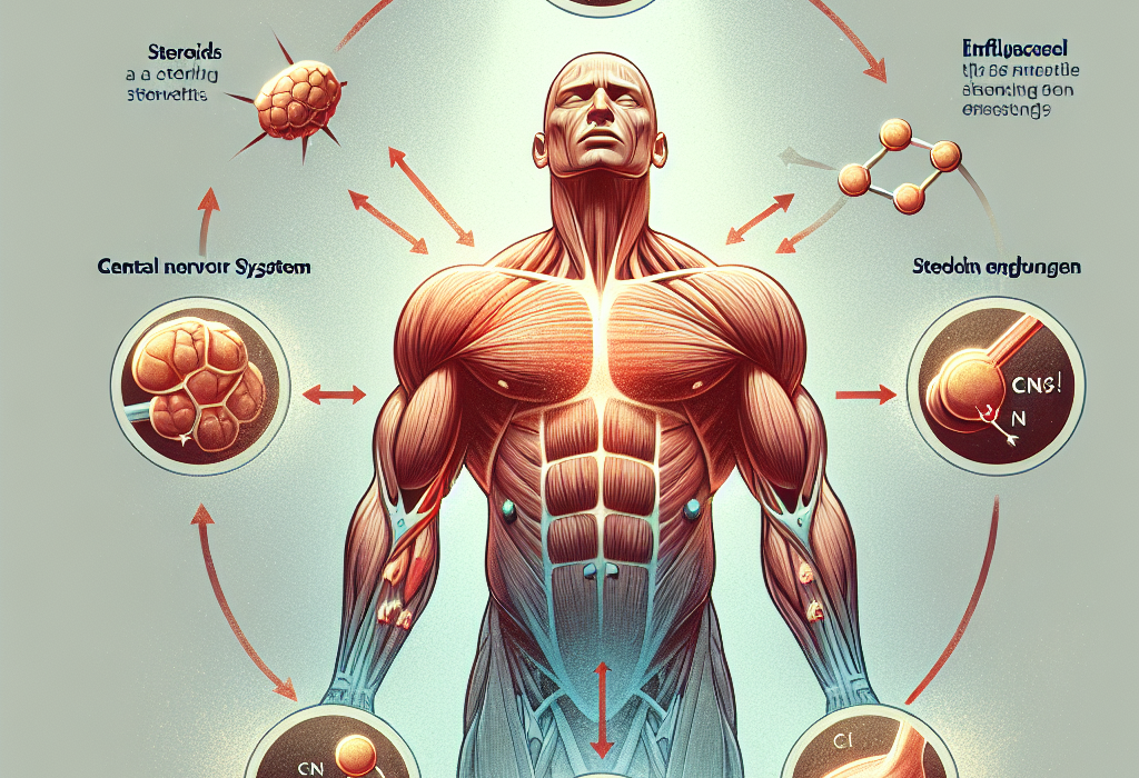 Stéroïdes et amélioration de la force musculaire grâce à leur effet sur le SNC