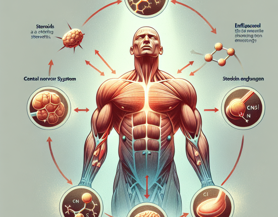 Stéroïdes et amélioration de la force musculaire grâce à leur effet sur le SNC